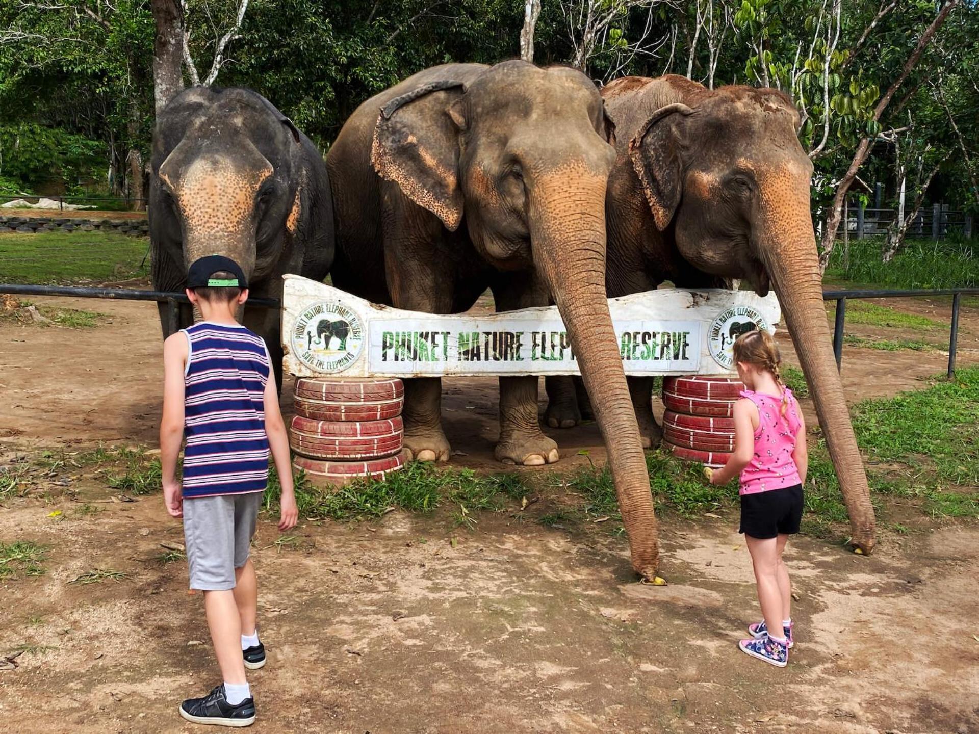 Snooze Inn Phuket - Free Shuttle To Bang Rong Pier Pa Khlok エクステリア 写真